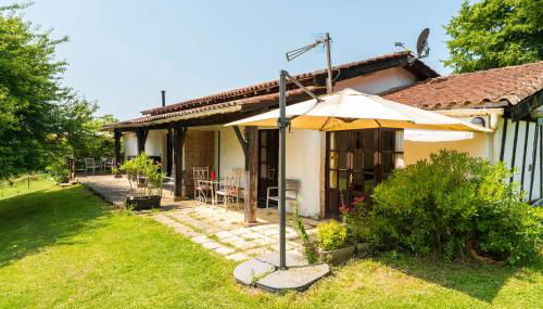 Ostau Flor - Photo 2