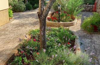 Apartments with parking space Muline, Ugljan - 8521 - Foto 9