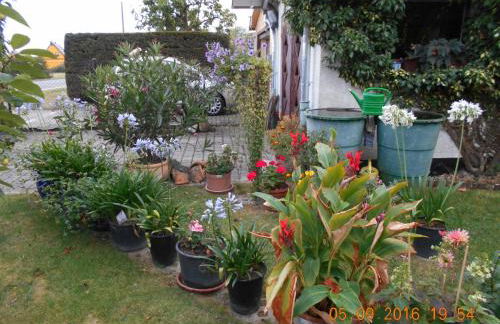 Vermiete sehr schönes Apartment in Dankerode im Harz - Foto 10