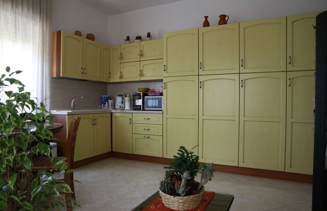 La Mimosa - Photo 40