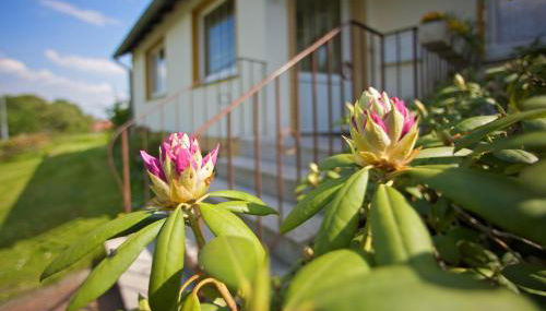 FeWo Blickweite - Foto 3