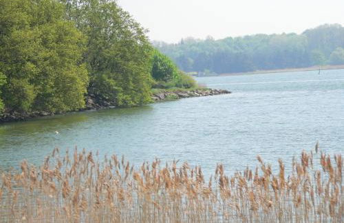 Reetdachkate Ekenis - Foto 16