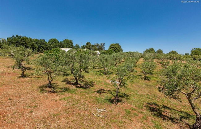 2410 Tenuta dei Fragni by Perle di Puglia - Foto 58