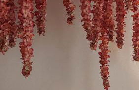 Apartamentos Boutique Mar De Cristal - Foto 55