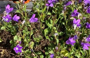 Oberstöberl - Foto 16