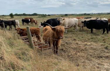 Hillside View, Reydon - Foto 26