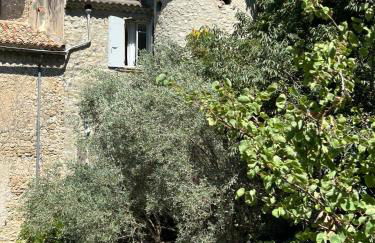 Maison de vacances La Bastide des Poètes Tour du Coridou - Foto 47