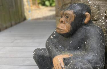 Caesars Lodge - Photo 58