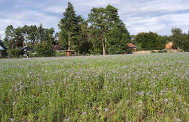 Ferienhaus Max mit Sauna - Photo 16