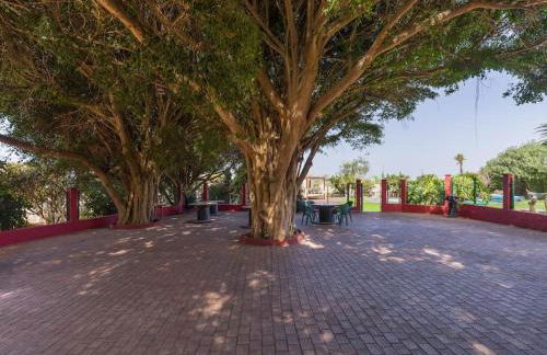 Villa with Pool and sea views in Banana Plantation by CanaryScape - Foto 19