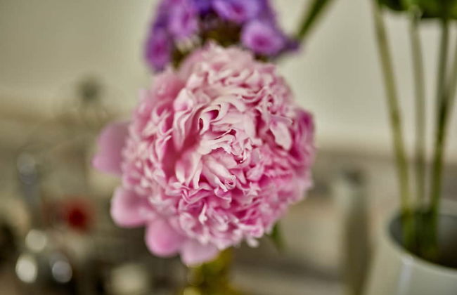 Rochter Apartments - Photo 23