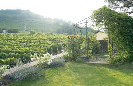 Vigne di Fagnano 1709 Eco Relais - Photo 56