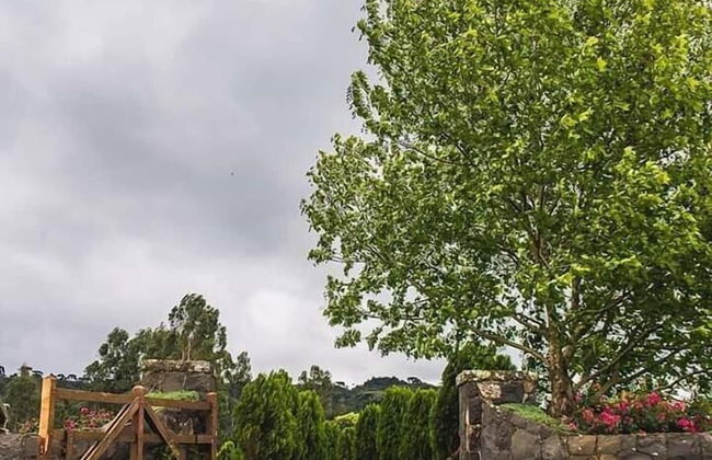 Pousada Rota das Cachoeiras Urupema - Foto 65