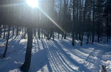 Villa Lily - Foto 32