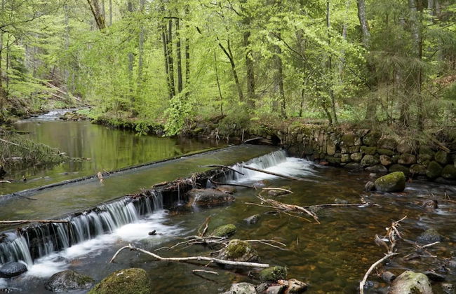 Ferienhaus in Schierke for 8 Personen - Photo 36