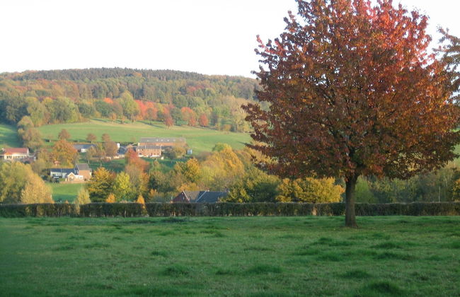 Holiday Home in Epen With Garden & BBQ - Foto 24