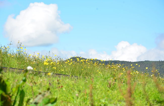 Villa Mount Royal - Photo 61