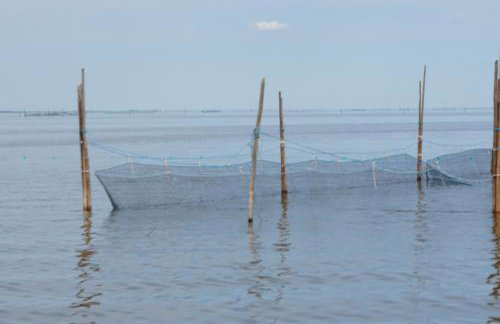 Apartamenty i Domki Osińscy - Foto 55