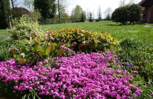 Ferienhaus Polley - Foto 32