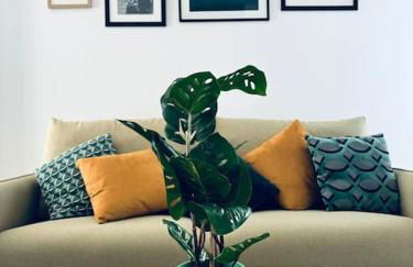 Ca' D'Amore - Foto 7