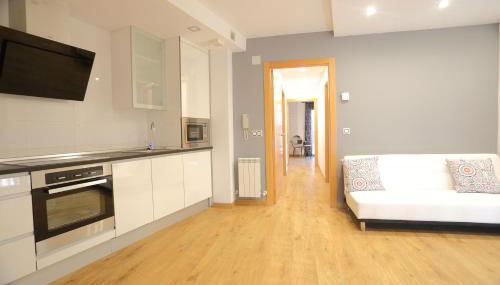 Apartamentos Amaiur 2 - Foto 2