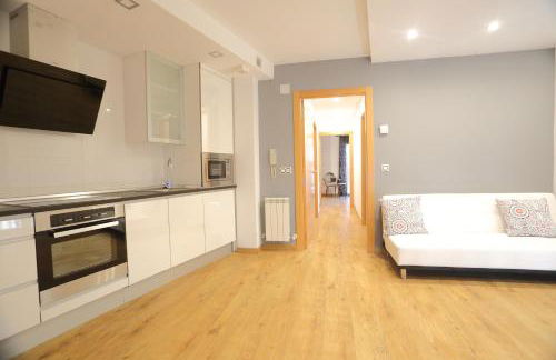 Apartamentos Amaiur 2 - Foto 2