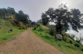 El Refugio - Foto 76