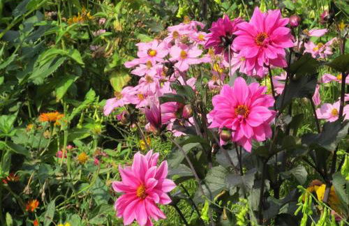 Historic Farmhouse in Hohnebostel with Garden near Lake - Foto 36