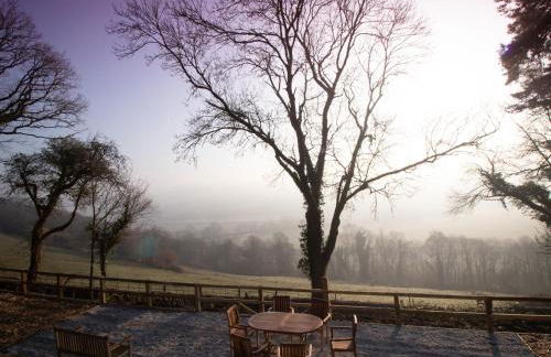 Little Silver Owl - Foto 26