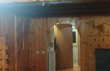 Agrifoglio - Foto 11