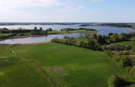 Schlei-Garten - Foto 18