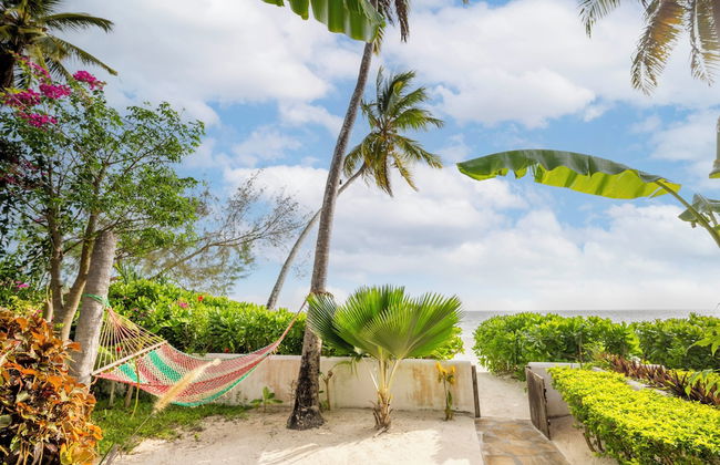 Surfescape Zanzibar - Photo 37