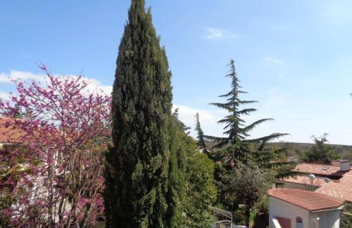 Apartments Kavan - Photo 12