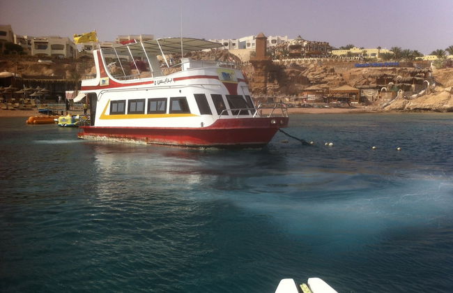 Shark Bay Oasis - Foto 45