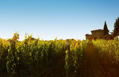 Agriturismo Poggio al Tufo - Foto 116