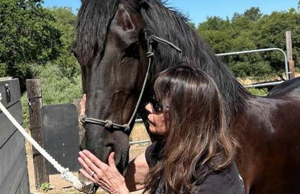 Cozy Rustic Cabin on a Working Horse Ranch for a Unique Getaway in Granite Bay, California - Foto 18