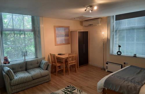 Self Contained Studio Flat in Winterton Hall - Foto 8