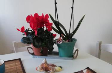 Le Torrette di Anna - Tropea - Foto 24