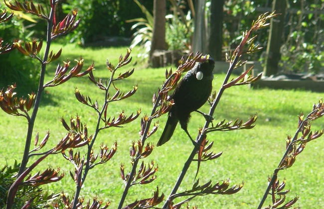 Wetland View Park - Photo 15