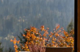 Domki WIDOKÓWKA -domki z balią na wyłączność - Foto 51