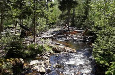 Ferienhaus Bayerwald - Foto 20