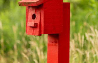 Casa Catskills - Foto 20