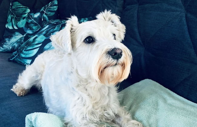 Osada Natura - Photo 12