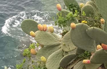 Terrazza sul Mare holidays with experiences - Foto 9