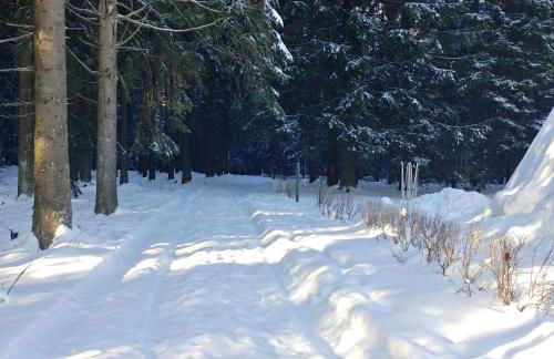 Wanderhütte Zum Glückstal - Foto 38