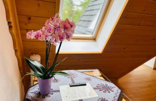 Apartamenty Krokiew - Foto 36