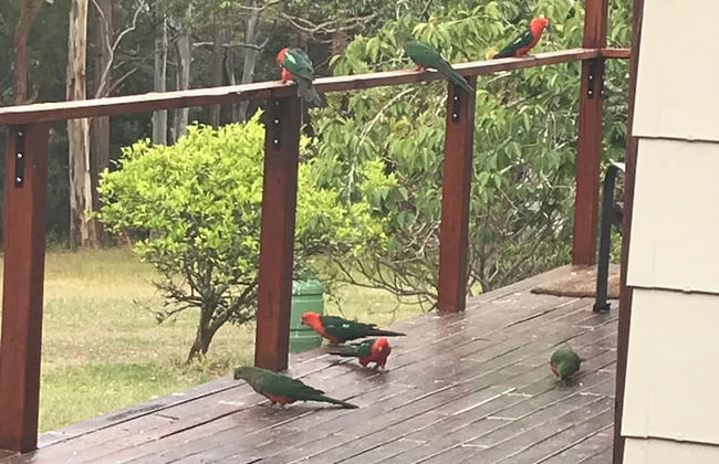 Wildside Sanctuary - Foto 50