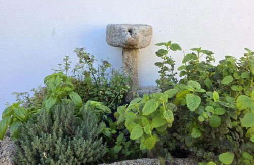 Villa Rosa - Foto 44