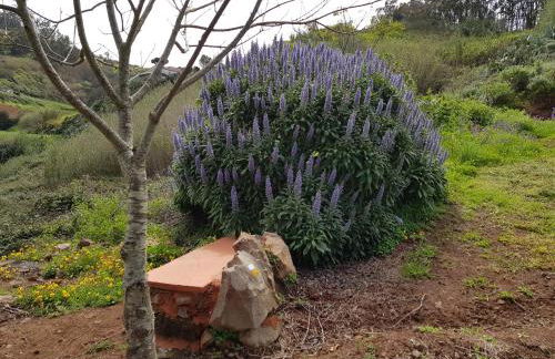 Cuevas De Barreto - Foto 50