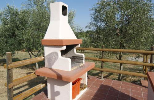 Il Giardino degli Ulivi Castiglione del Lago - Foto 3